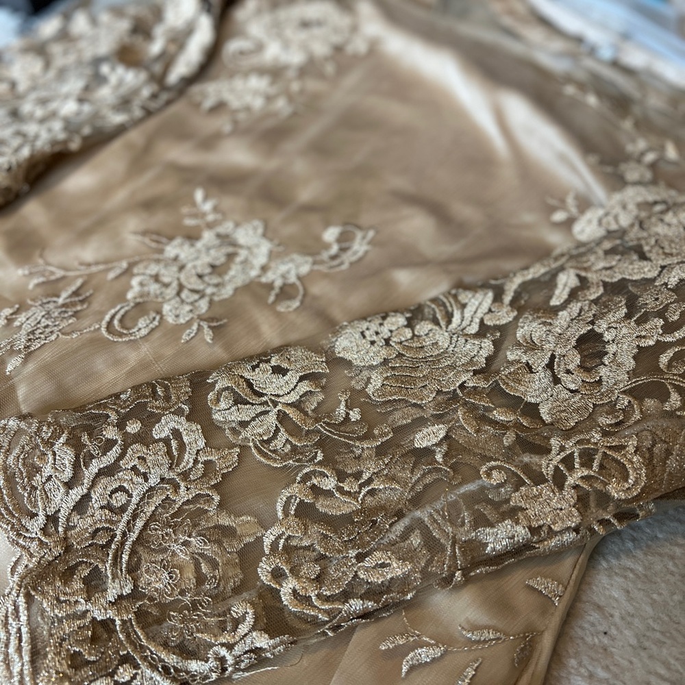 Beautiful Golden silk and embroidered net gown!